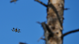 Расчеты БПЛА обеспечили прикрытие для штурмовиков. Лучшее видео из зоны СВО
