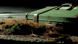 Мужчина нашел тела двух девочек в чемоданах во время прогулки с собакой