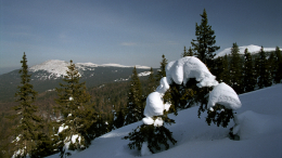 Неделя в снежном плену: погибшие в Прикамье туристы совершили ряд фатальных ошибок