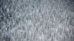 Коварная трещина в скале: эксперт о новой версии пропажи Усольцевых