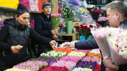 Роспотребнадзор дал рекомендации по выбору цветов к 8 марта: что нужно знать