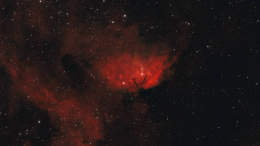 «Роскосмос» показал фотографии «космических цветов» к 8 Марта