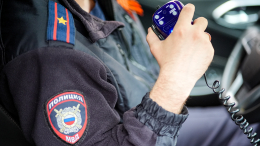 Пропавших в Подмосковье детей ищут более 150 человек