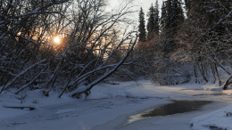 По факту пропажи детей в Подмосковье возбуждено уголовное дело