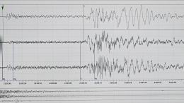 Землетрясение магнитудой 6,5 зарегистрировано у берегов Камчатки