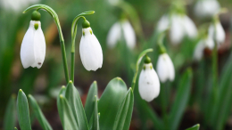 Придется потерпеть: когда потеплеет в регионах России