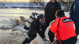 Шапку могли подбросить: жители Звенигорода не верят, что пропавшие подростки утонули
