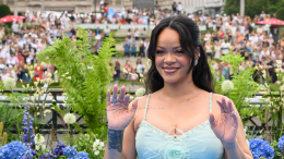 Уже имела проблемы с законом: кто и за что обстрелял дом Рианны