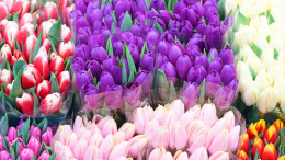 «Пьют водку на мои деньги»: мошенник из Екатеринбурга обманул женщину 8 марта