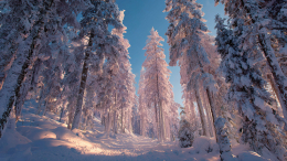 Последний вердикт: при каких обстоятельствах Усольцевых признают погибшими
