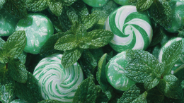 «Своего рода трюк»: почему мы чувствуем холод из-за мятных конфет