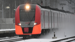 Не смог затормозить: «Ласточка» насмерть сбила девушку