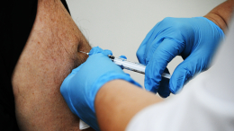 Вакцина от аллергии на пыльцу березы поступит в продажу в 2027 году