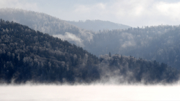 В Красноярском крае в тайге найдены тела мужчины и его четырехлетнего сына