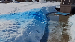 Памятник маршалу Жукову в Калужской области облили краской — это могла быть гендер-пати