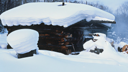 Замерзшие отец с сыном в Красноярском крае не дошли до избушки 50 метров