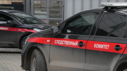 В Москве раскрыто убийство 9-летней девочки, совершенное в 1999 году