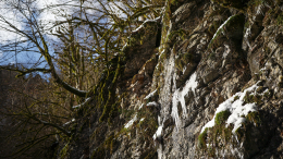 Эксперимент по выживанию: что известно о найденной мертвой в Новороссийске школьнице