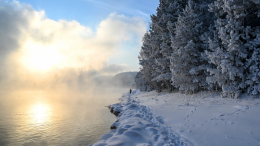 Нашли? Возможные координаты тел пропавшей семьи Усольцевых передали в прокуратуру