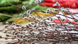 Выбросить, закопать или сжечь: что делать с прошлогодней освященной вербой