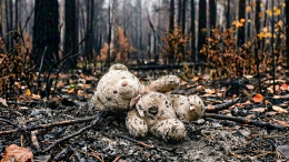 Последние девять дней в глухом лесу: трагическая история пропавшей 5-летней девочки