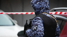 Подозреваемый в убийстве москвички футболист 12 часов удерживал ее дочь в квартире