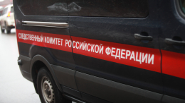 Целился в шею: уголовное дело о покушении возбуждено после нападения школьника в Подмосковье