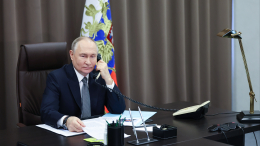 Путин обсудил политическое и экономическое сотрудничество с премьером Эфиопии