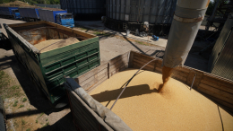 От Китая до Египта: удмуртские аграрии за год увеличили экспорт в полтора раза