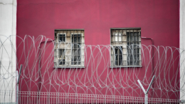 Депутат предложила провести амнистию для тяжелобольных матерей вслед за Лерчек