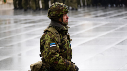 В Эстонии готовы обсуждать с США отправку войск в Ормузский пролив