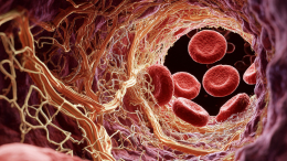 «Ускоряет рак в 100 раз»: ученые назвали самое опасное вещество в организме