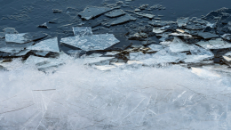 Две девочки провалились под лед в Калининграде, выгуливая собак