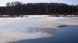 «Максимальное наказание»: что ждет рыбака, бросившего детей тонуть в Звенигороде