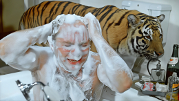 Как 10 тигров чуть не сорвали съемки фильма «Полосатый рейс»: закулисье комедии