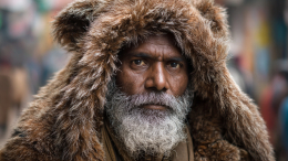 Фермеры начали переодеваться в медведей для спасения урожая картофеля