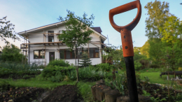 Посадил — сел: дачников предупредили о сроке за запрещенные растения