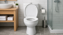 Унитаз за 200 тысяч рублей: стоит ли переплачивать за умного «белого коня»