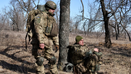 Сотни солдат ВСУ пропали в «черной дыре» в Харьковской области
