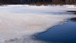 Ловушка на Москве-реке: женщина провалилась под лед, пытаясь спасти собаку