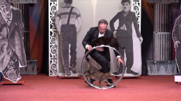 Три спасенные из зоны СВО кошки дебютировали в Театре Куклачева