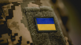 На Украине мобилизовали гуся