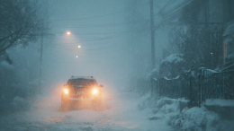 Массовые аварии и заплыв на льдине: в Приморье и Петербург пришла аномальная погода