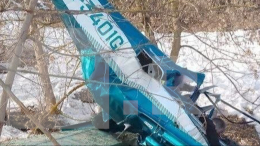 Два человека погибли при падении легкомоторного самолета в Коломне