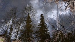 Пропал по сценарию Усольцевых: волонтеры прекратили поиски экс-спецназовца