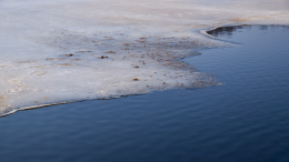 Проклятое место: что известно о районе в Звенигороде, где утонули подростки