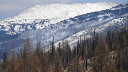 Что скрывает снег? В России анонсировали новые поиски пропавшей семьи Усольцевых