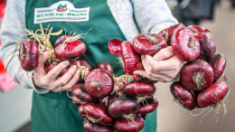 Участница московских ярмарок из Крыма рассказала о своем огороде