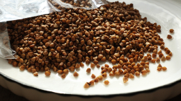 На Украине начался дефицит гречки