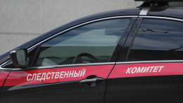 Девочка-маугли: СК заинтересовался судьбой детей из многодетной семьи под Уфой